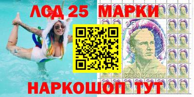 гашик Гатчина