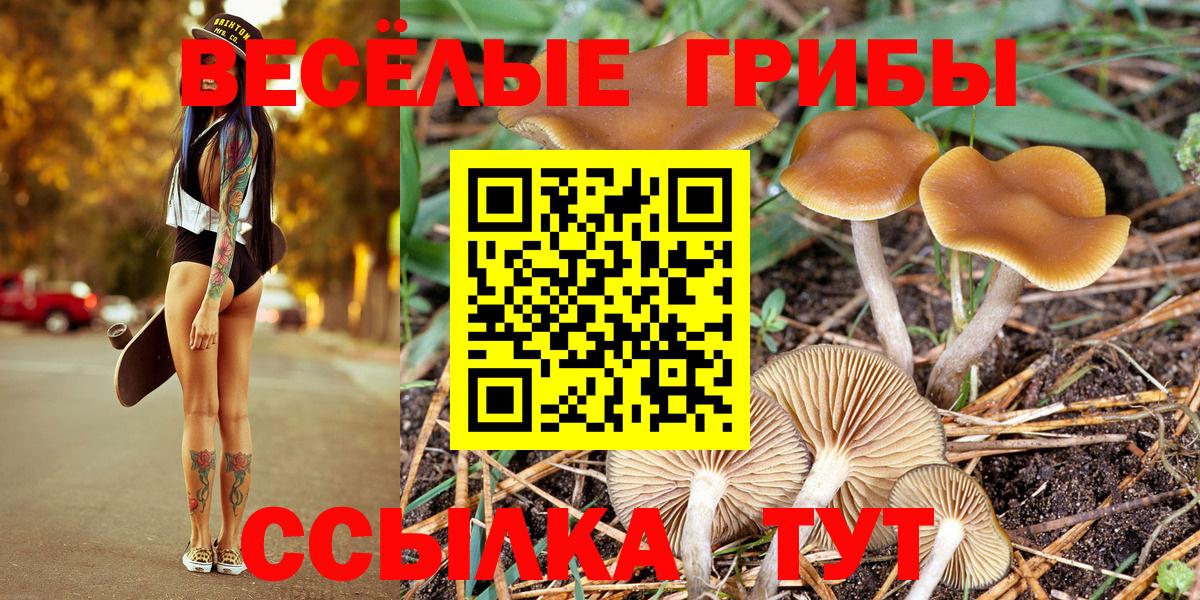 Галлюциногенные грибы Psilocybine cubensis  Вход с VPN  купить наркотик  Галлюциногенные грибы Psilocybine cubensis  Мичуринск 
